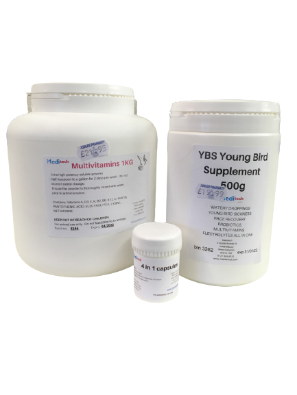 Champions BUndle Removebg Preview